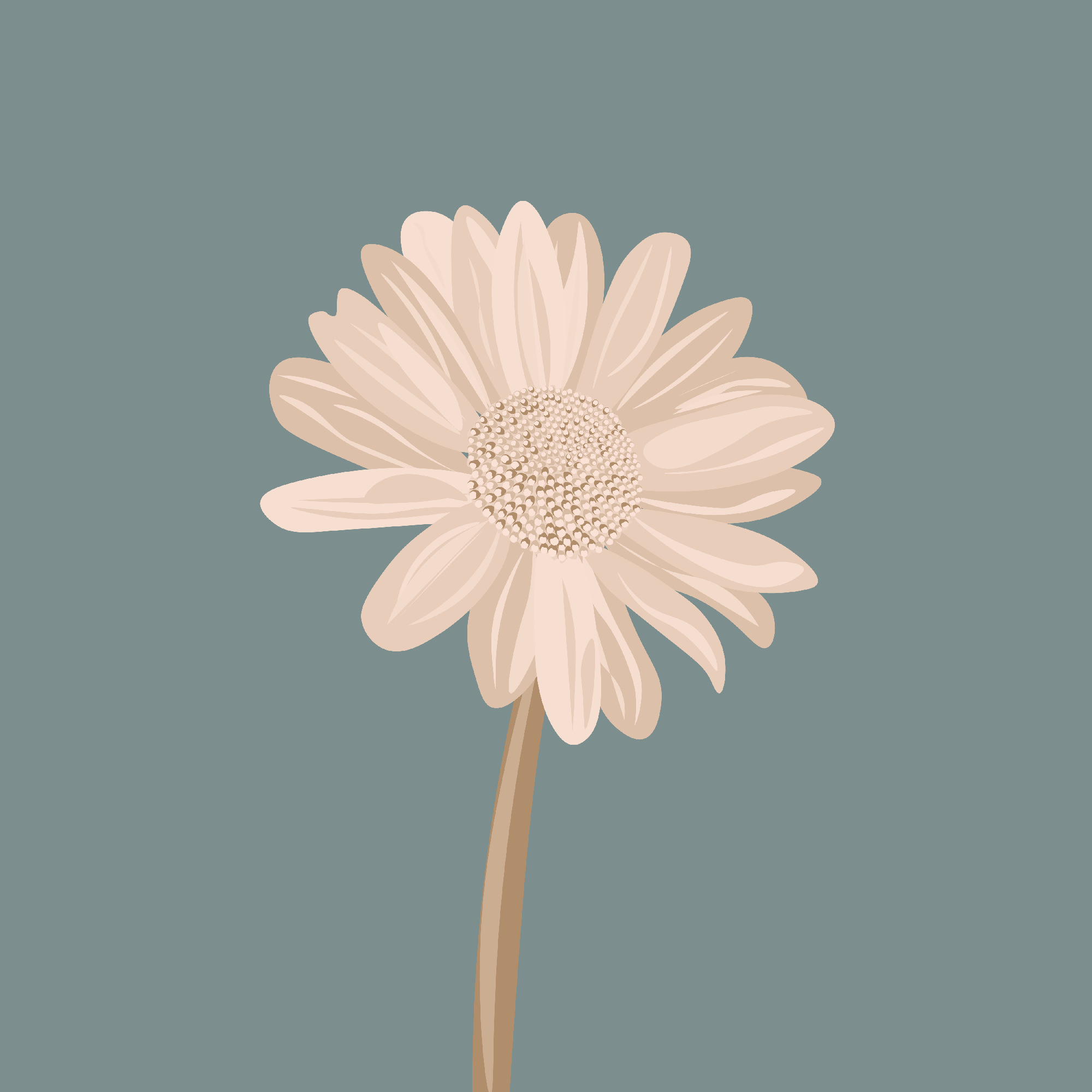 Flowers nft